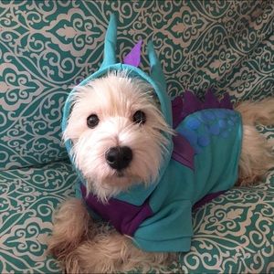 Meet your Posher, Jamie